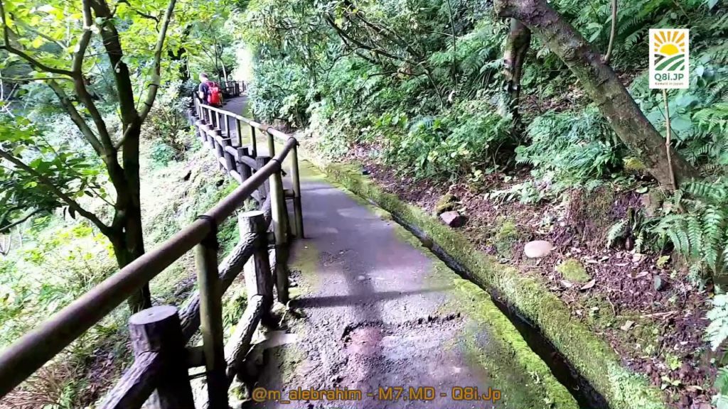 SenganEn Garden - Kagoshima - japan walk-through   التجول في حديقة سينقان كاغوشيما اليابان