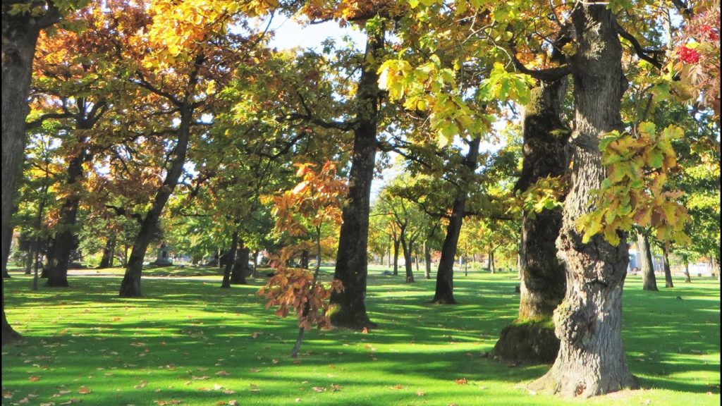 Marko's trip in Japan - Sapporo in autumn