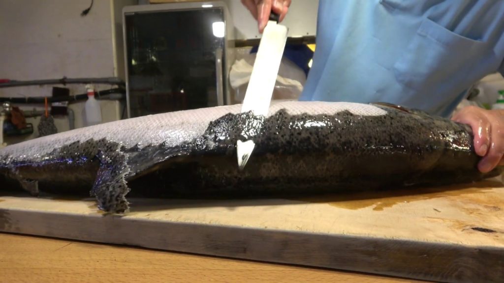 FISH CUTTING SKILLS Salmon - Taiwan street food