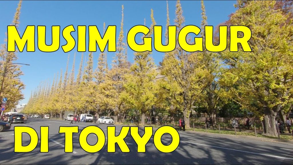 Indahnya Musim Gugur di Tokyo JEPANG [Tokyo Autumn Trip]
