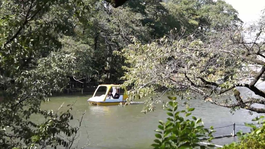Inokashira Park – one of the best in Tokyo – 井の頭公園 Inokashira Park - one of the best in Tokyo - 井の頭公園