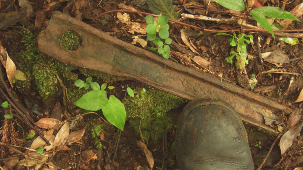 Yakushima Island's Lost 2'6" Miyanoura Forest Railway