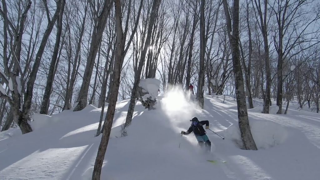Freeride with Evergreen Alpine Academy in Japan