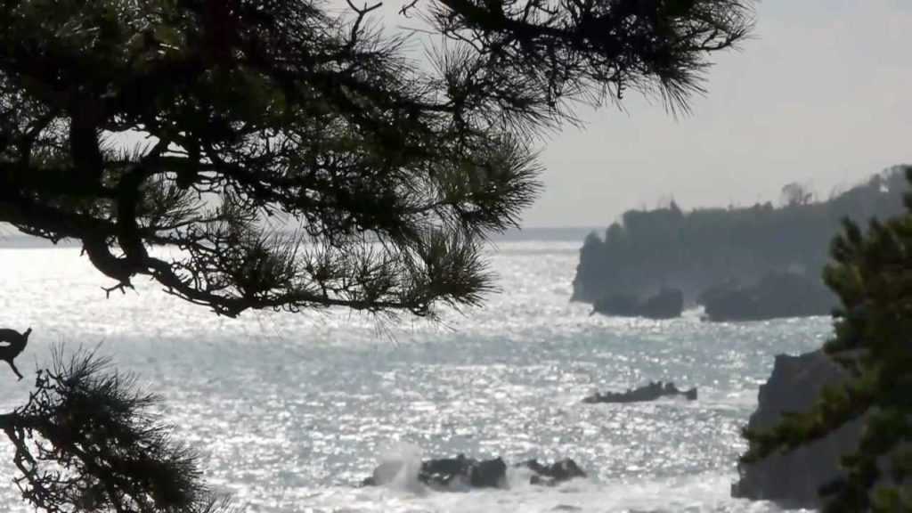 自然の造形美城ヶ崎海岸案内 静岡 伊豆 伊東 Amazing Geologic Beach Guide Tour JAPAN