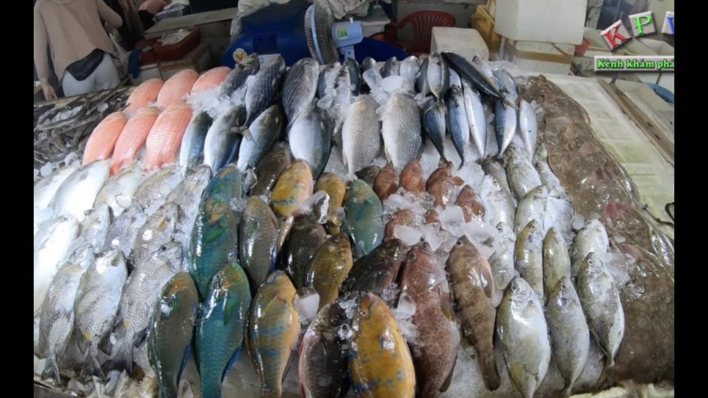 Chợ hải sản lớn nhất Đà Nẵng, loại gì cũng có – Khám phá vùng quê Chợ hải sản lớn nhất Đà Nẵng, loại gì cũng có - Khám phá vùng quê