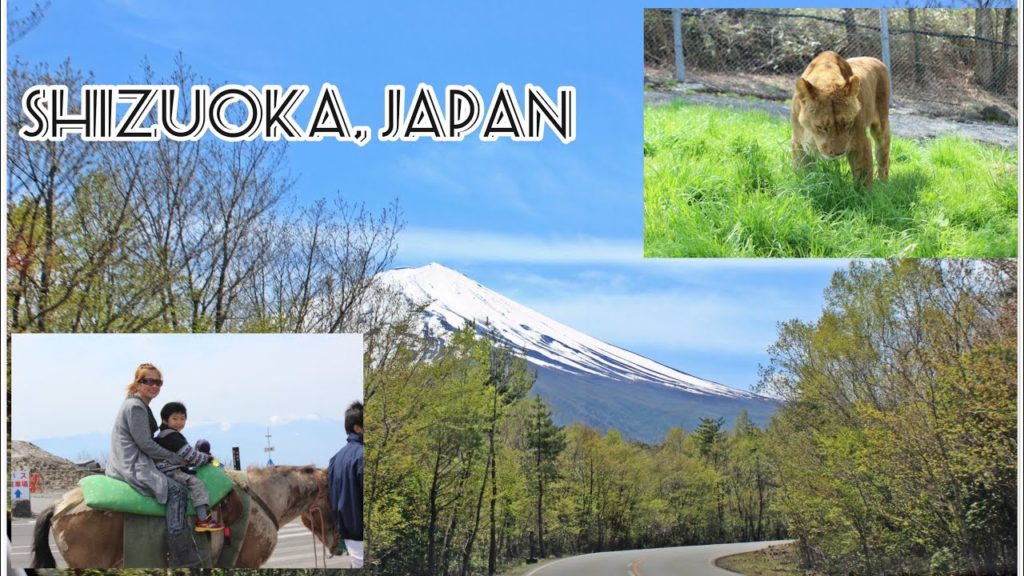 FUJI SAFARI PARK & HEALING VILLAGE + MT.FUJI STATION 5 FUJI SAFARI PARK & HEALING VILLAGE + MT.FUJI STATION 5