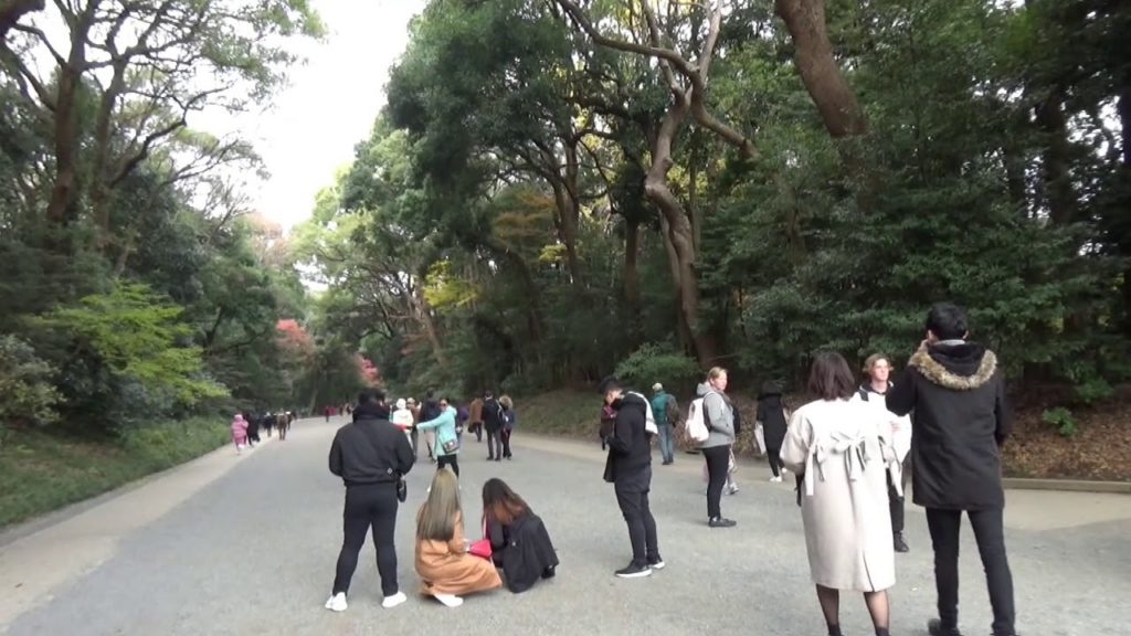 Harajuku Travel Guide /Tokyo Travel Guide