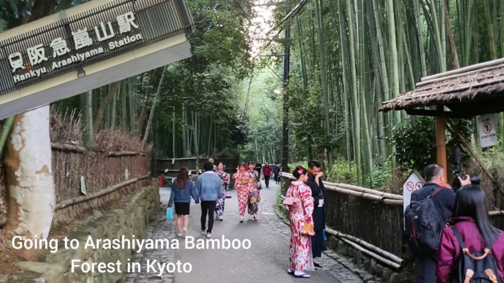 Travels, Visit Arashiyama Bamboo Forest in Kyoto. Sceneries~