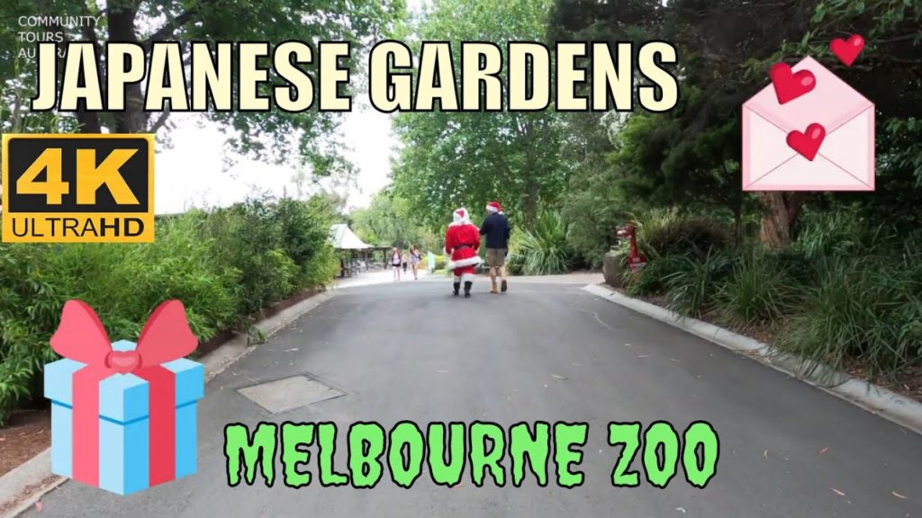 Royal Melbourne Zoo 4K - Japanese Gardens Australia - Melbourne Christmas 2019