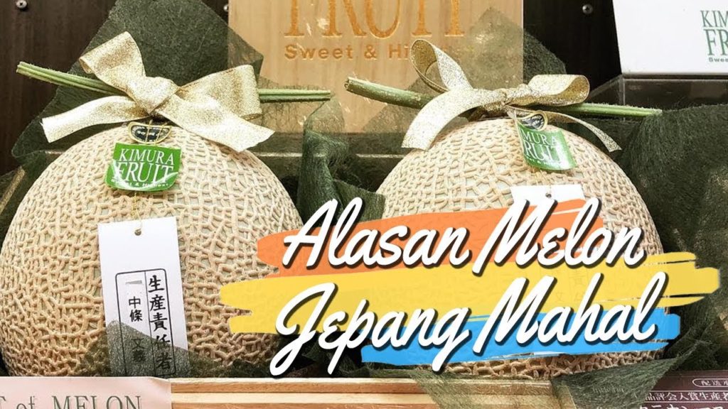 Alasan Buah Melon di Jepang Sangat Mahal, Harganya Cukup Fantastis Alasan Buah Melon di Jepang Sangat Mahal, Harganya Cukup Fantastis