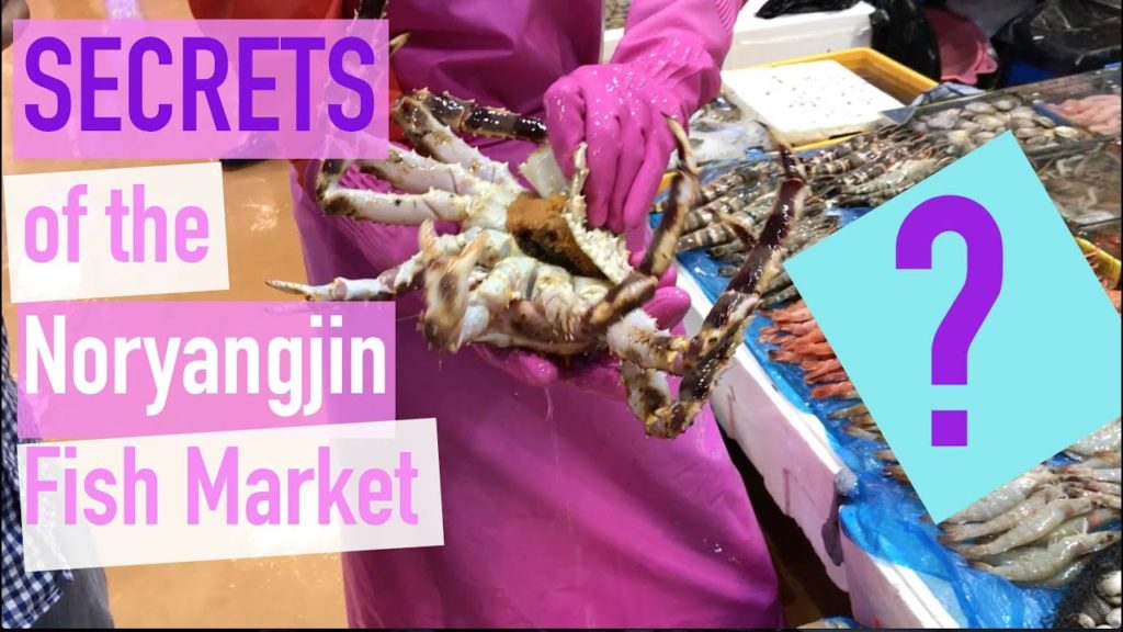 Watch This Before Visiting Noryangjin Fish Market in Seoul, Korea!