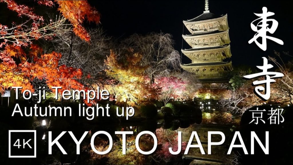 【4K】Kyoto Autumn Leaves 2019 To-ji - 京都の紅葉 東寺 | Japan walking guide