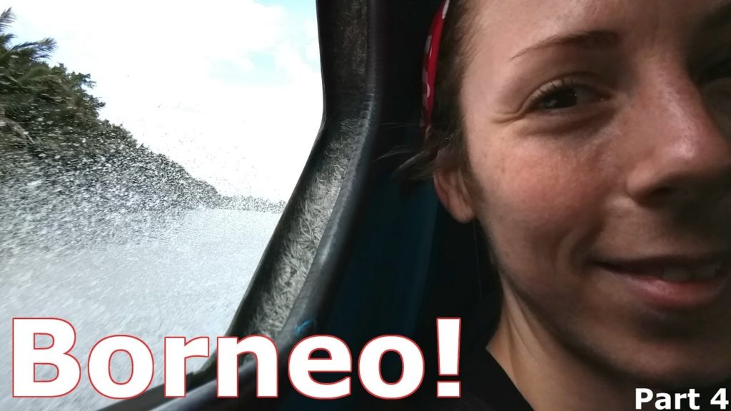 Borneo! | From Brunei to Malaysia!