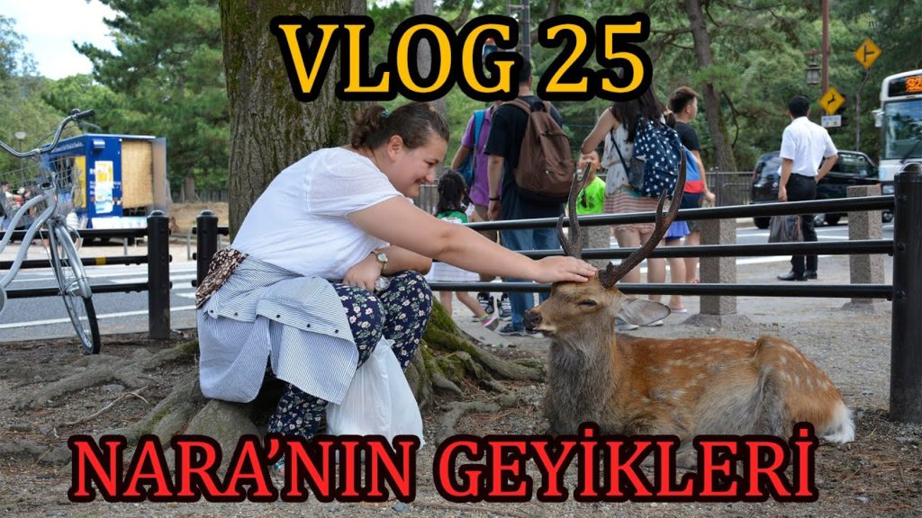 "Bir Çocukluk Hayali: JAPONYA!" 25 - Nara'da Geyik Muhabbeti
