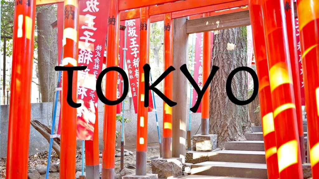 Tokyo in 30 seconds - Travel video