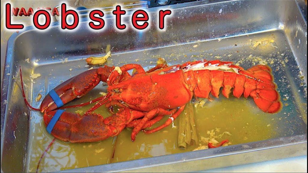 Lobster - Akita Farm, The Biggest Crabs and Seafoods Festival in Thailand | Bangkok Street Food