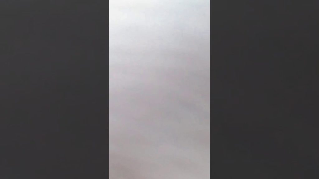 Short Fun Road Trip to See the Japanese Macaques in Nagano Japan