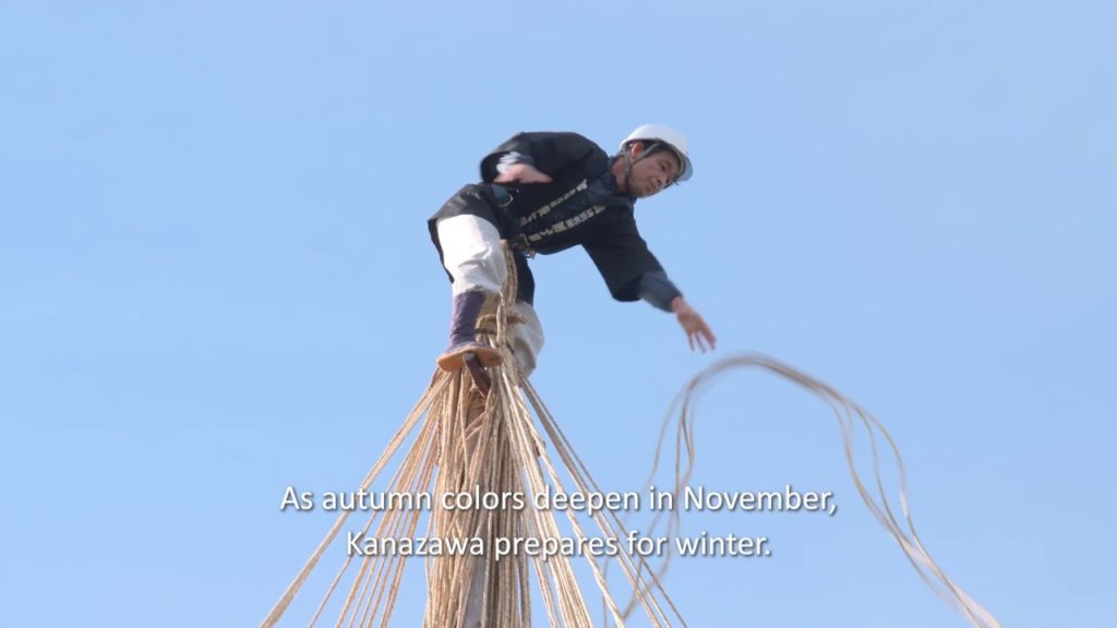 Kanazawa Prepares for Winter : Yukizuri and Komogake | nippon.com Kanazawa Prepares for Winter : Yukizuri and Komogake | nippon.com