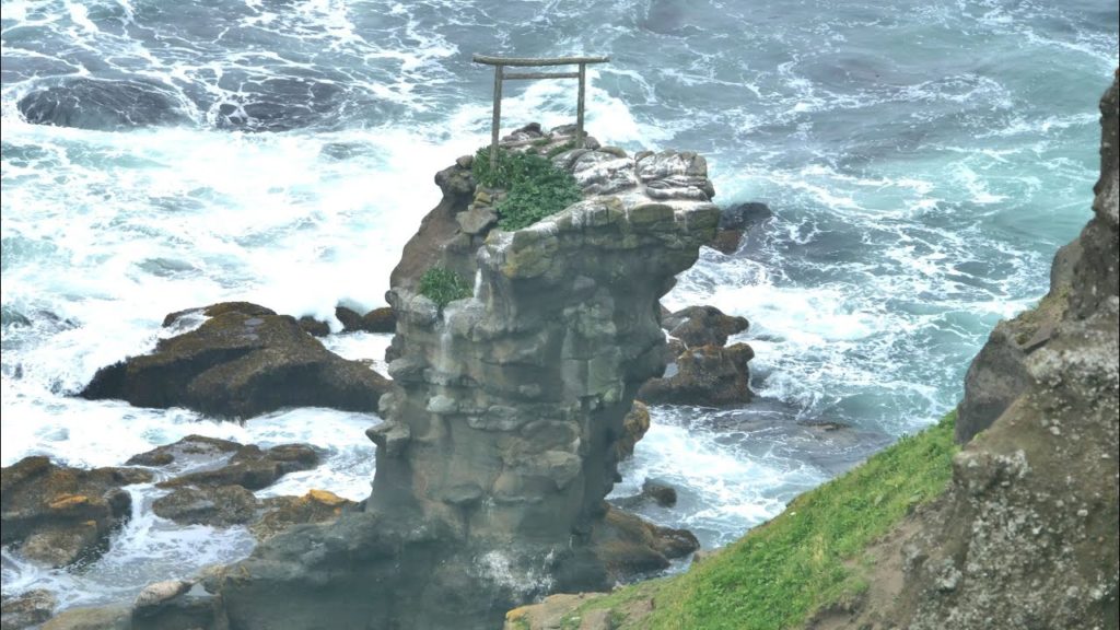 JG☆☆☆☆ 4K HDR 北海道 尻羽岬のゼニガタアザラシ Hokkaido,Harbor Seal at Shirepamisaki