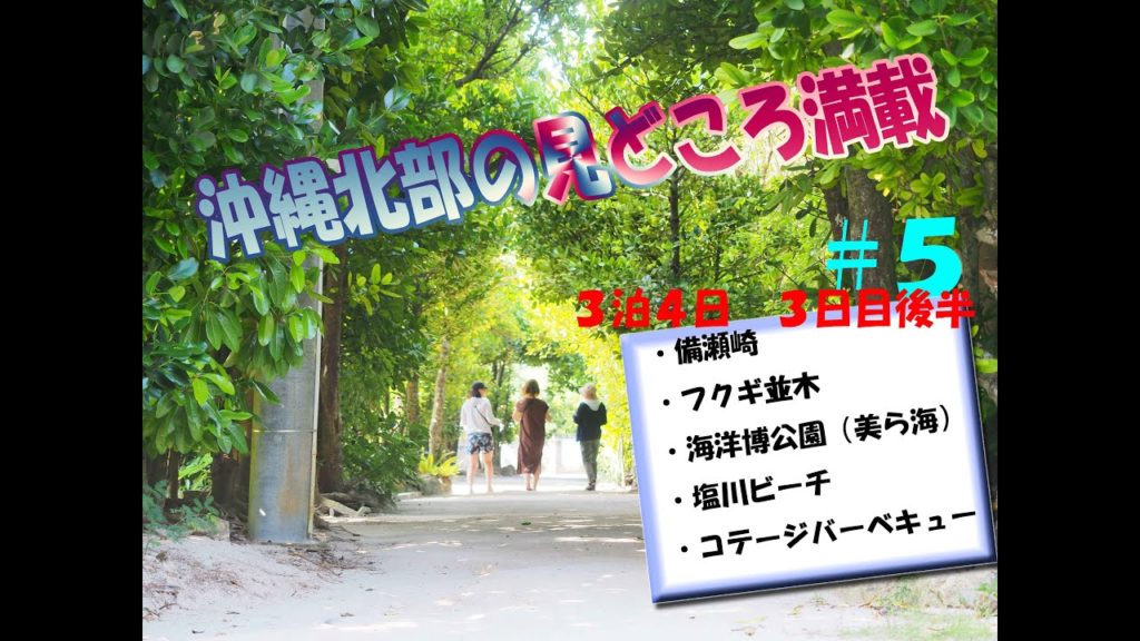 沖縄旅行！北部地方を満喫編☆ボルダリング仲間とダイビング４人旅