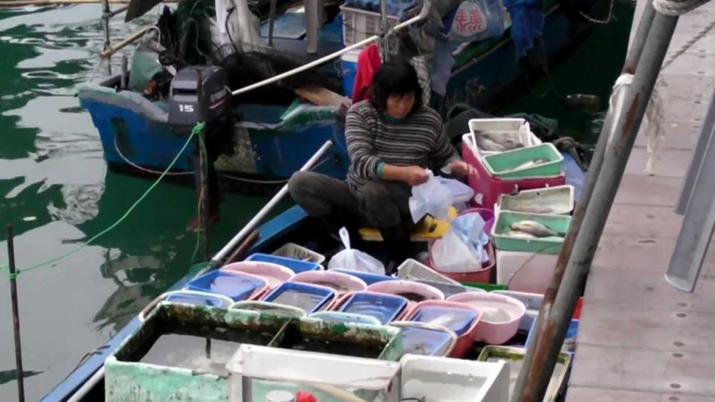 Sai Kung, Hong Kong. The Live Fish and Seafood Market on the Boats. Part 6