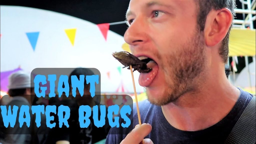 Farang Eats GIANT Water Bugs - Bangkok Street Food