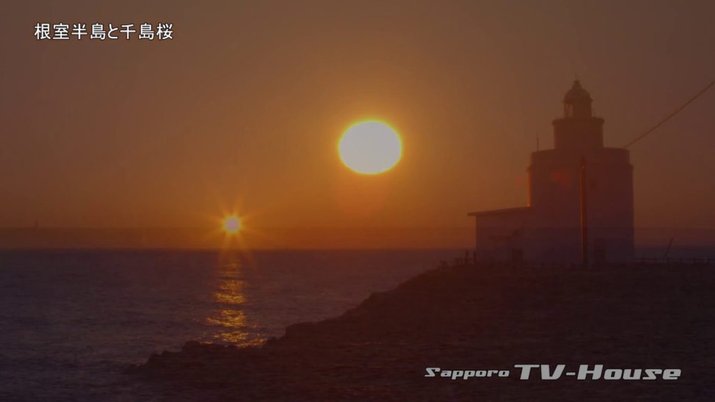 根室半島と千島桜 Nemuro Peninsula and cherry trees in the Temple Seiryu 4K(UHD)