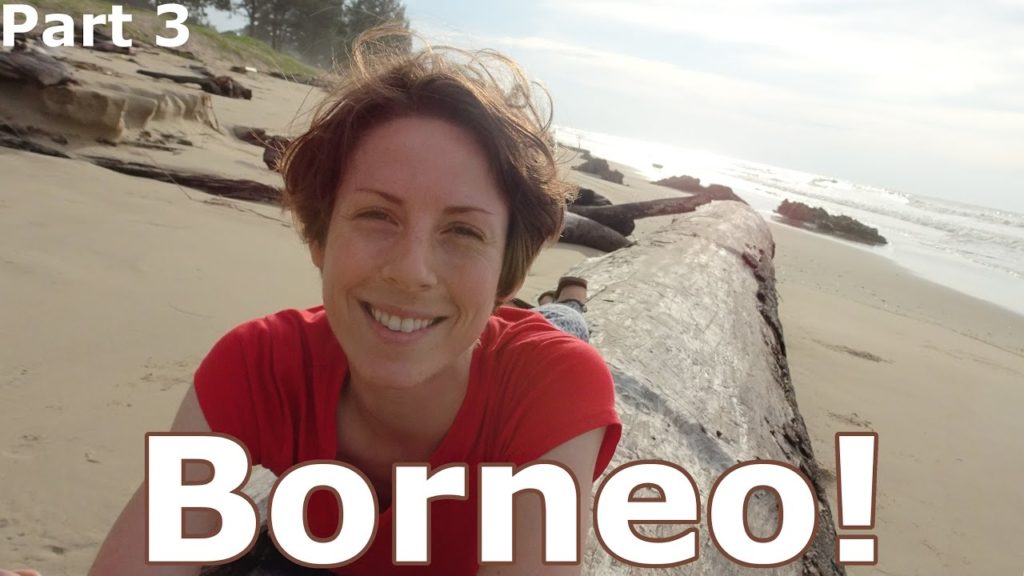 Borneo! | Road Trip in Brunei