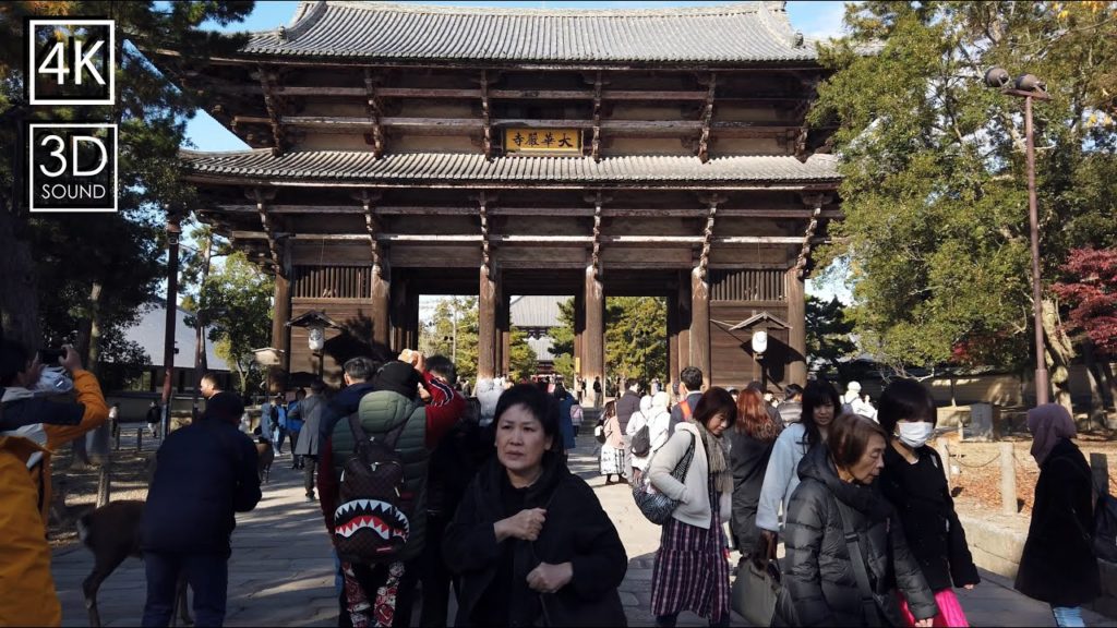 【SingReef Travels ⁴ᴷ⁶⁰ ³ᴰ 🎧】Walking in Nara, Japan ウォーキングツア