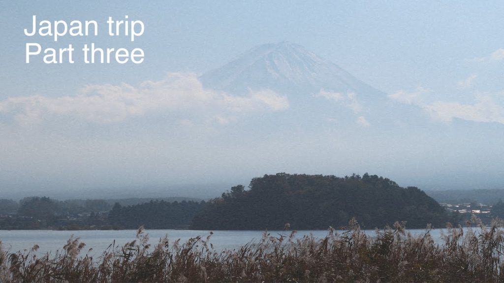 Japan trip 2019 - Fushimi inari shrine, Lake kawaguchi, Shirakawago, and shibuya part three