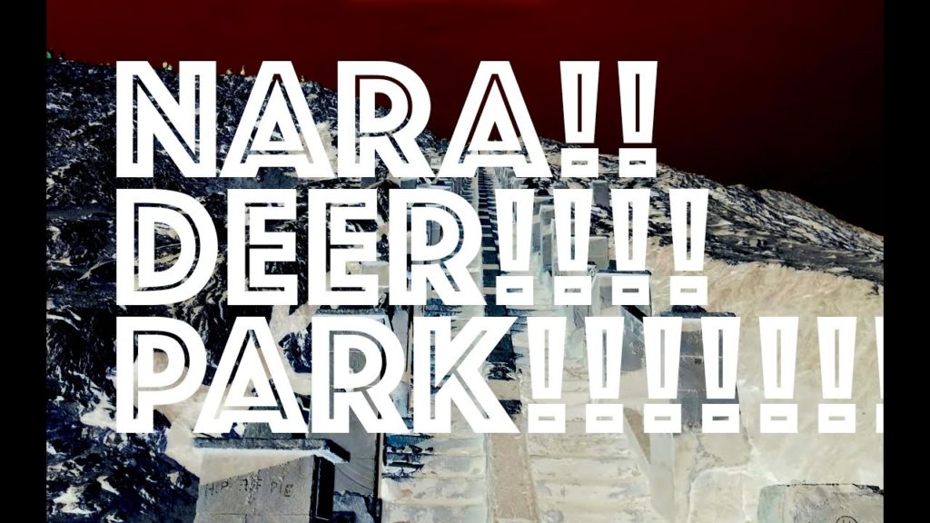 奈良 Nara, 日本 Japan / Deers! 奈良公園 Nara Kōen Park (4K 60 Binaural) DEERS! 鹿! / Walk156 奈良 Nara, 日本 Japan / Deers! 奈良公園 Nara Kōen Park (4K 60 Binaural) DEERS! 鹿! / Walk156