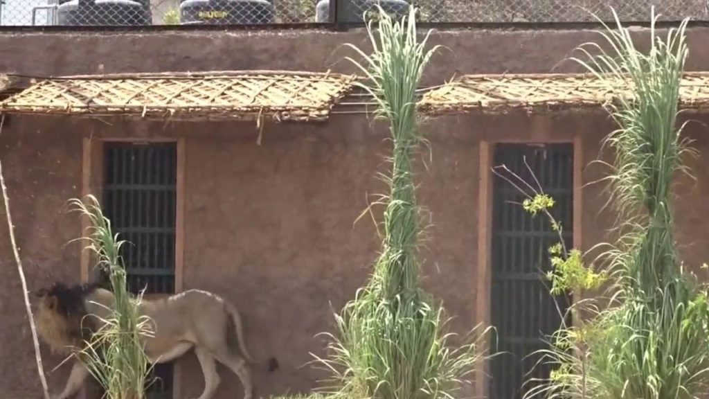 Nahargarh Biological Park Amer Opened 5June2016 Nahargarh Biological Park Amer Opened 5June2016