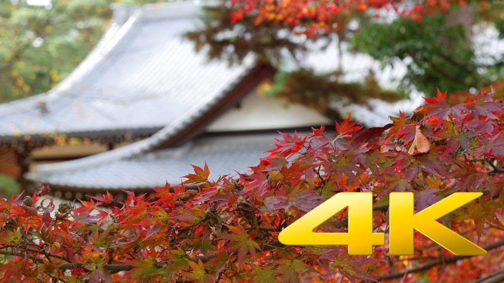 Tamba Kameyama Castle Ruins Park - Kyoto -亀山城 - 4K Ultra HD