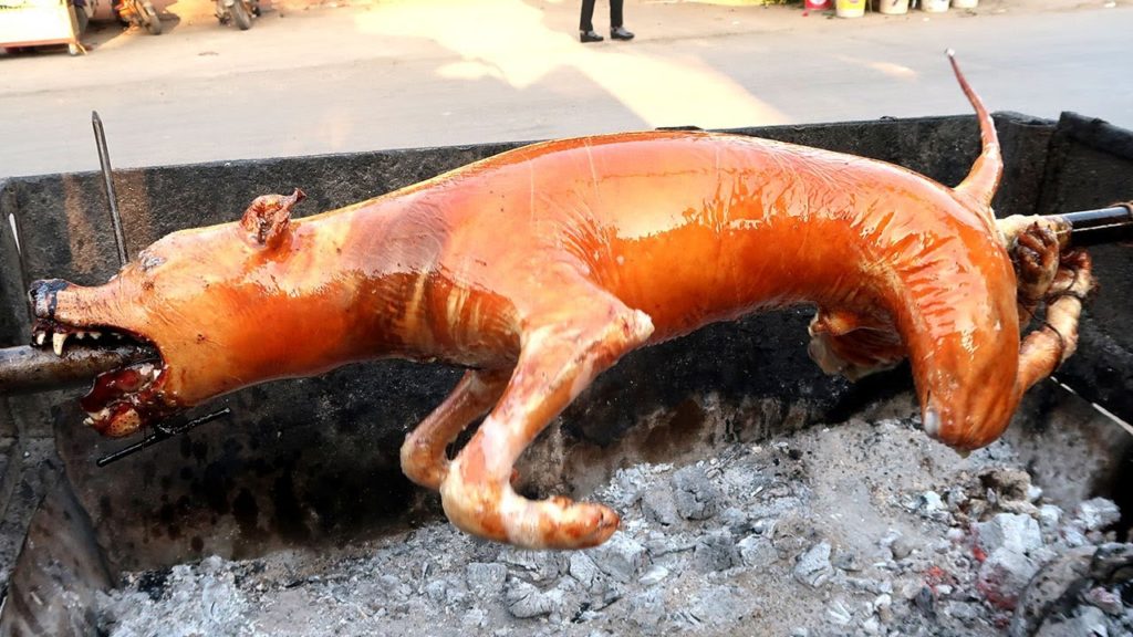 Viet Nam Street Food  Chopping Piglets, dog turned 2020