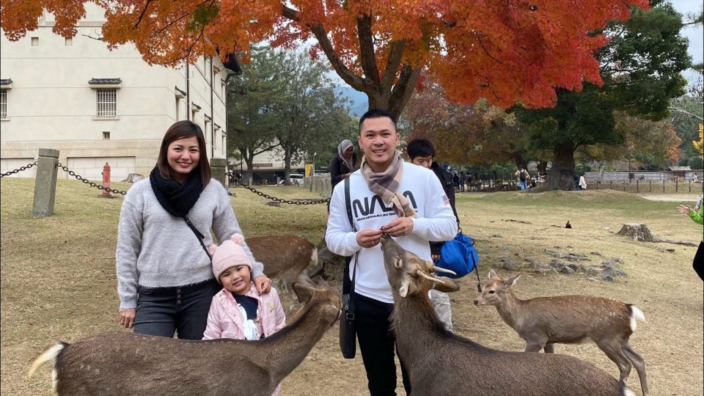 Episode III - Deer Park Nara, Japan