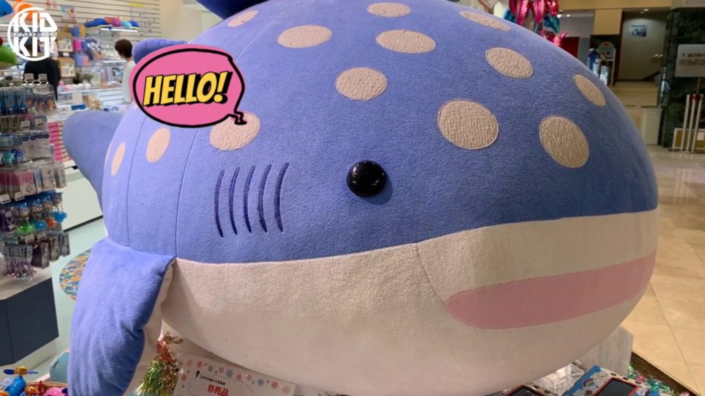 Kagoshima City Aquarium | かごしま水族館 【 Kagoshima, Japan | 日本 鹿児島 】