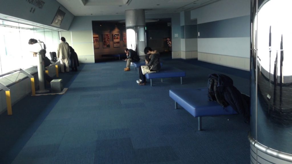 The View from Yokohama Landmark Tower Sky Garden