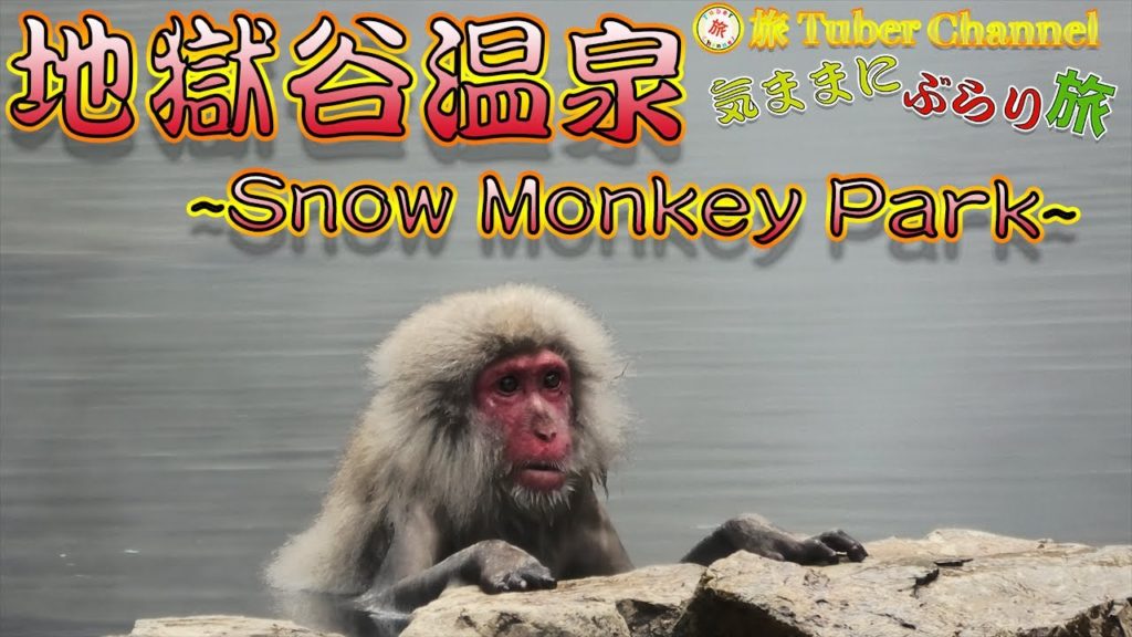 地獄谷温泉をぶらり旅-Traveling in Snow Monkey Park-