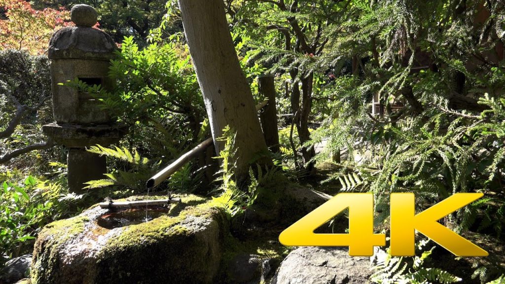 Tokyo Relaxing video of a traditional Japanese Garden in Shibuya – 4K Ultra HD Tokyo Relaxing video of a traditional Japanese Garden in Shibuya - 4K Ultra HD