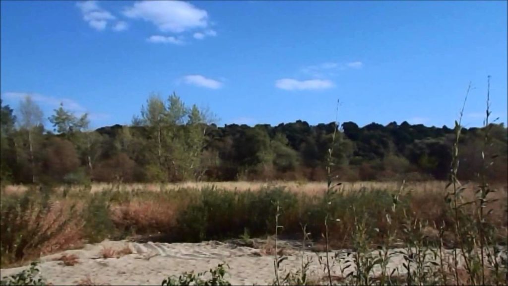 Plaża na środku Wisły w Kazimierzu Dolnym