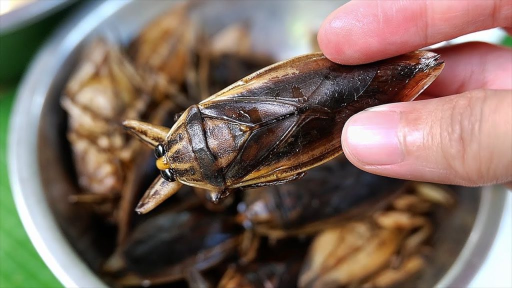 Thai Food - GIANT WATER BUGS Alligator Gar Noodle Balls Bangkok Seafood Thailand