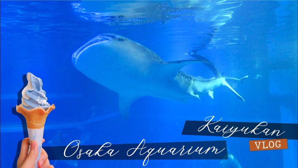 🇯🇵Osaka Vlog｜來去大阪海遊館找鯨鯊 | Osaka Aquarium Kaiyukan