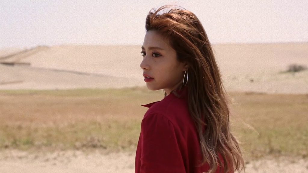 ただただ一瞥するだけの動画