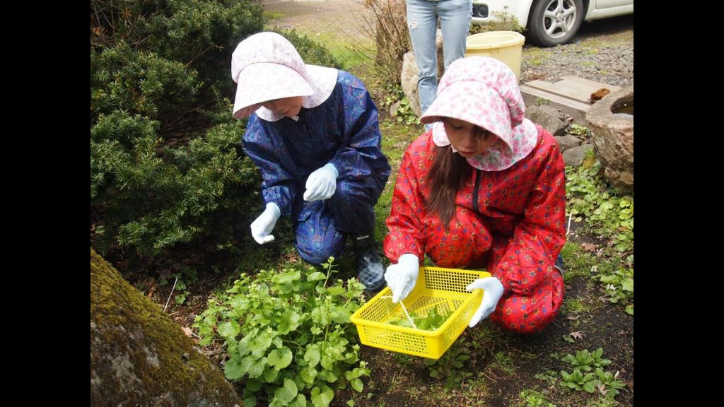 JAL Green Tourism Aomori Pizza 【週末Trip青森 採れたて新鮮野菜で自分好みのピザ作り】