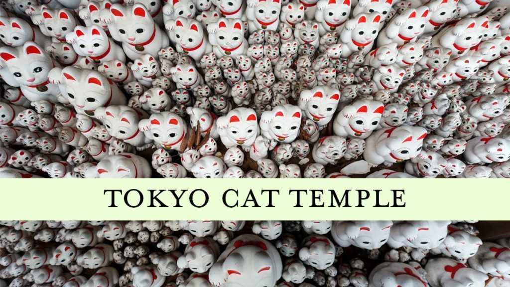 TNF Episode 1 – Gotokuji (Cat) and Sensoji Temple, Asakusa, and Tokyo Commuting TNF Episode 1 - Gotokuji (Cat) and Sensoji Temple, Asakusa, and Tokyo Commuting
