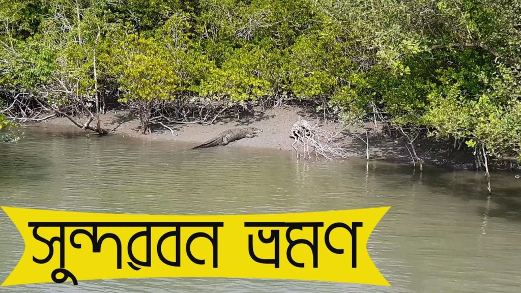 Sundarban Travel || All about the jungle and journey by boat || Pakhirala to Dobaki Sundarban Travel || All about the jungle and journey by boat || Pakhirala to Dobaki