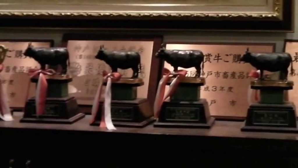 One Day Trip in KOBE Vol.3