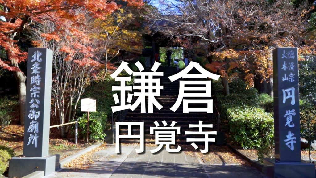 Japan Travel Guide :2019 Kamakura Walking Kamakura Enkaku-ji Temple Autumn Leaves in Kamakura Japan Travel Guide :2019 Kamakura Walking Kamakura Enkaku-ji Temple Autumn Leaves in Kamakura