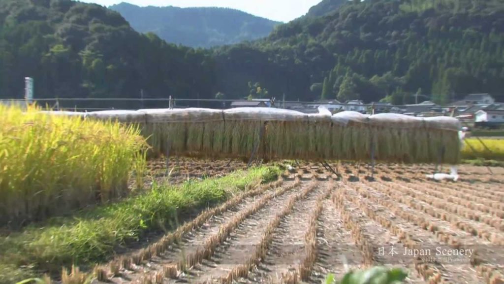 霧島・九州 Kirishima, Japan 霧島・九州 Kirishima, Japan