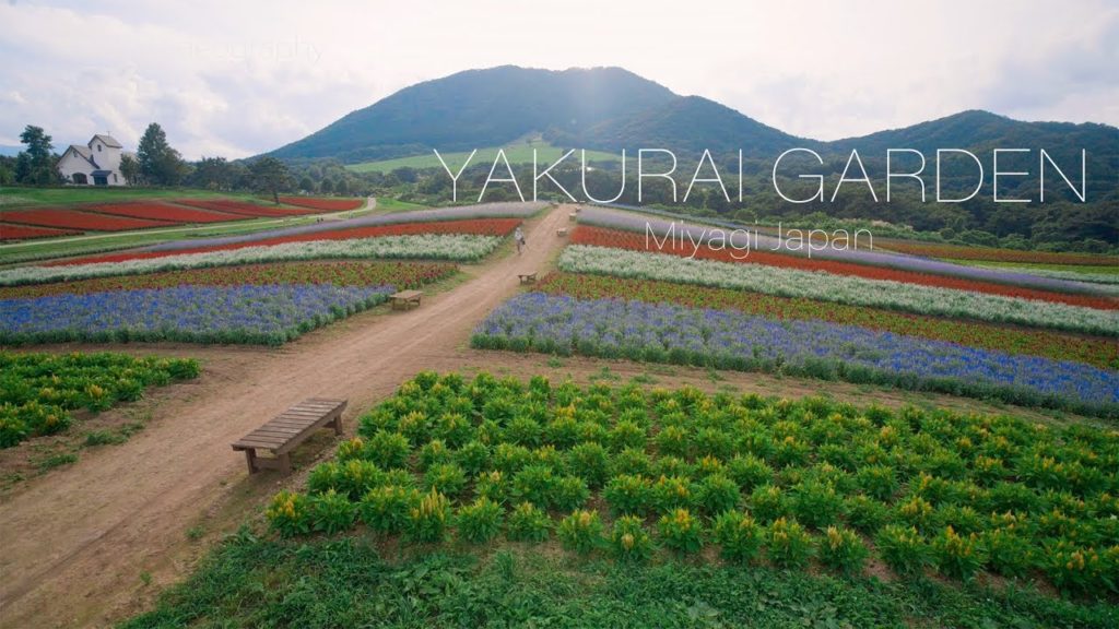 Yakurai Garden やくらいガーデン オータムフラワーフェア&ハロウィンフェア Autumn Flower&Halloween Fair[4K Japan]